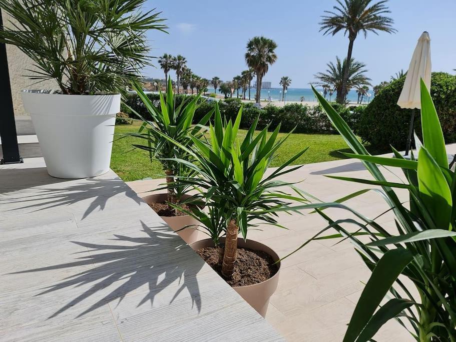 Villa On The Beach Playa Flamenca 奥里韦拉 外观 照片